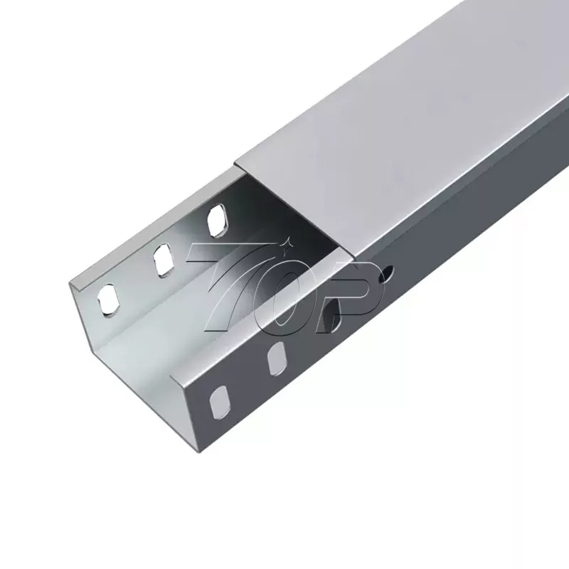 Kabelin idarə edilməsi Tray Polad Kabel Tepsisi
